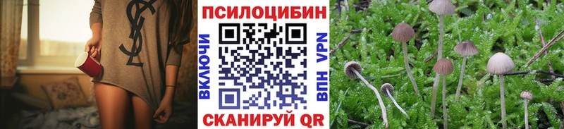 Галлюциногенные грибы GOLDEN TEACHER  купить   Орехово-Зуево 